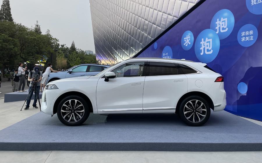 4d454aa8134c53e8dd6297e981343c7164306.jpg IMG_7139.JPG